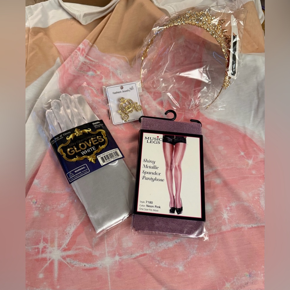Princess costume BUNDLE (Cinderella)